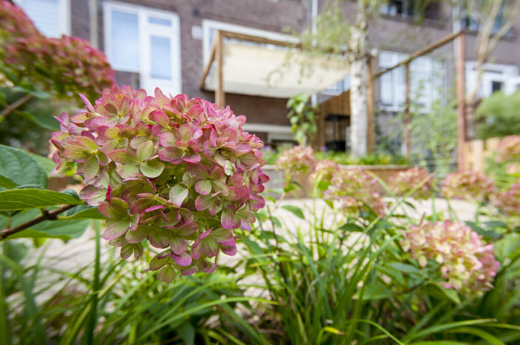 Fraaie stadstuin met veel hoogteverschil aan het water